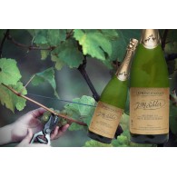 Crémant d'Alsace Brut Blanc de Blanc