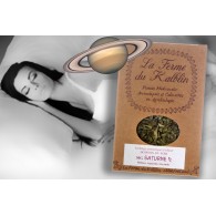 Boisson à infuser Bio SATURNE