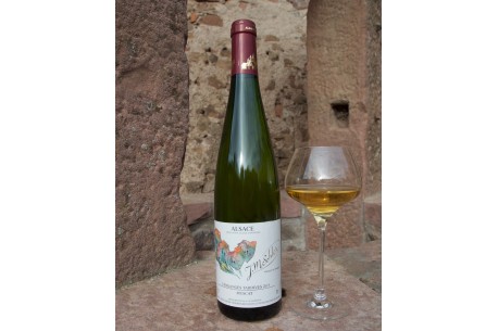 Vin d'Alsace AOC - Muscat Vendanges Tardives