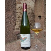 Vin d'Alsace AOC, Muscat Vendanges Tardives